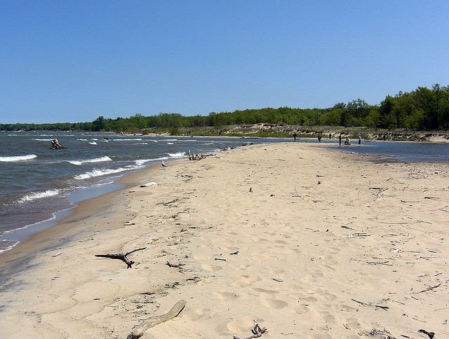 a new epa app aims to help track water quality at beaches