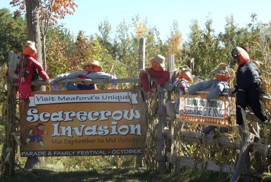 annual scarecrow invasion event cancelled again