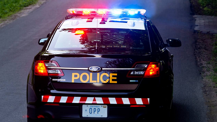 Seaforth teen charged after neighbours argue, man hurt