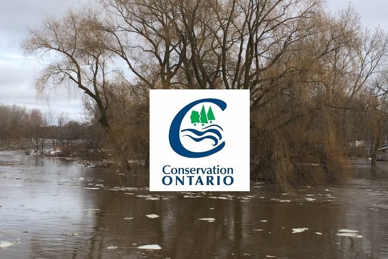 conservation ontario is asking the
