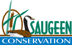 heavy rain leads to advisory from saugeen valley conservation authority