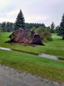 clean up continues after storm tears through region