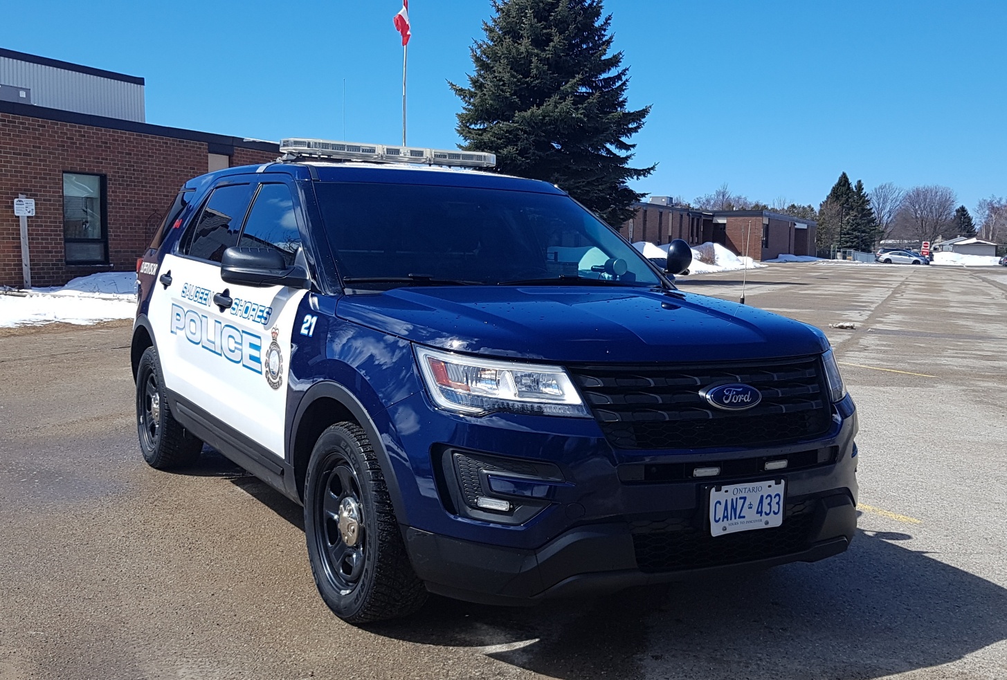 man charged after abandoned puppies found in port elgin