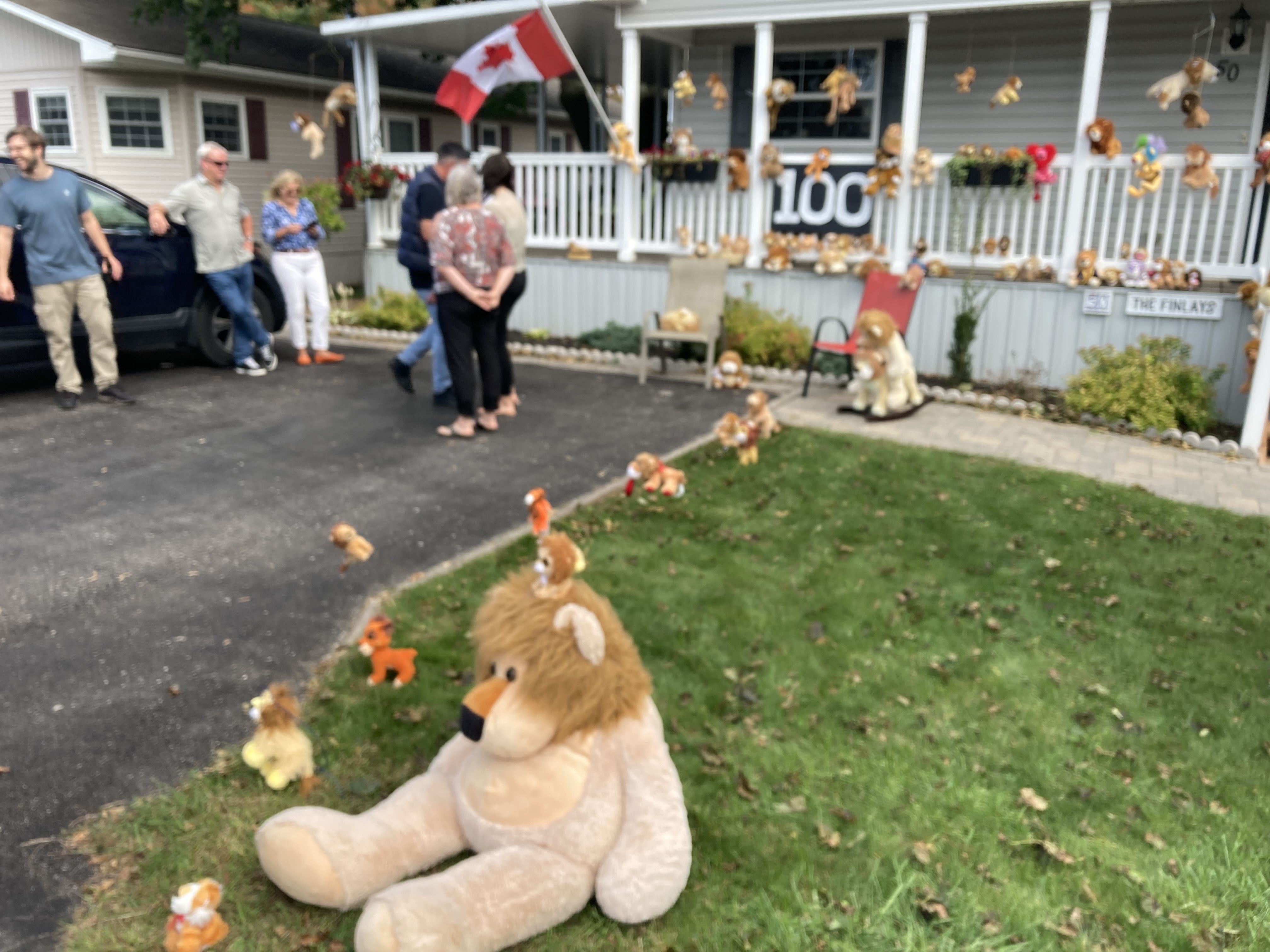 100 stuffed lions mark a special anniversary in Goderich