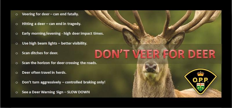opp urge motorists to watch for deer
