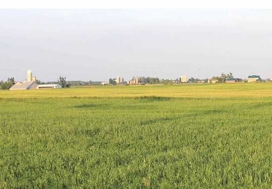 Bruce County considers smaller agricultural lots
