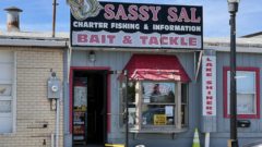 walleye windfall lake erie bait and tackle is big small business