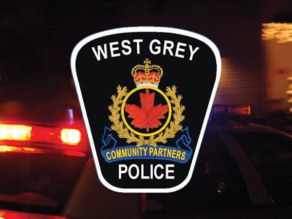 west grey man arrested after police find elderly man covered in blood