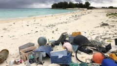 Science report: US should make less plastic to save oceans