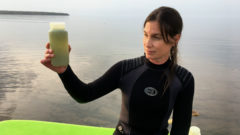 episode 1028 lesson plans algal blooms on lake superior