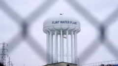 judge awards millions to lawyers in flint water settlement