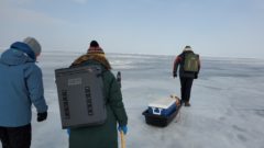 scratching the surface regional research groups explore winter conditions of green bay great lakes