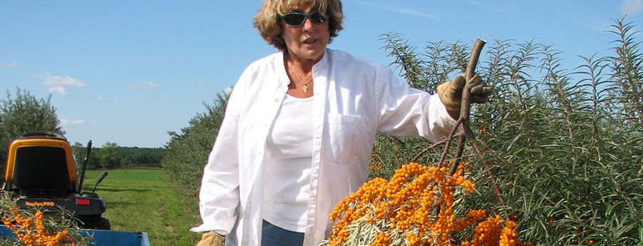 farmer says her plants are not poisonous after articles mistake 2
