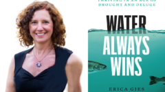 water always wins quietly radical book makes case for slow water