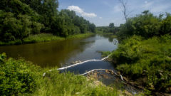 State: Chemical company likely source of Flint River spill
