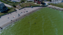study suggests phosphorous reduction alone could lead to more toxic algae