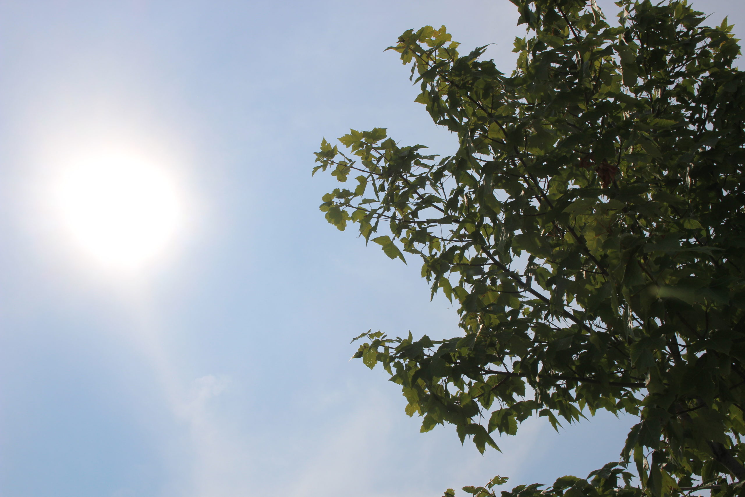 hot and humid start to the week for southwestern ontario scaled
