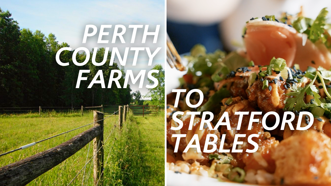 Perth County launches new “Perth County Farms to Stratford Tables” video series