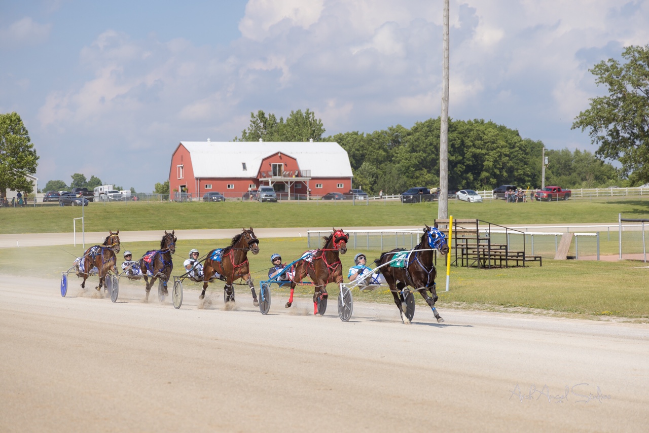 rookie trotters race at clinton
