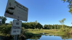 Reports: Huron River largely dodged hexavalent chromium scare
