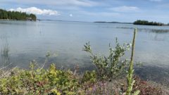 Ian Outside: A Drummond Island summer recap … as winter gets here