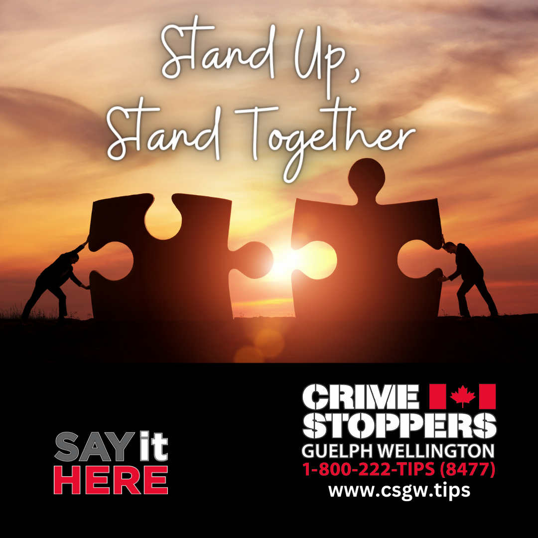 crime stoppers releases 2022 statistics