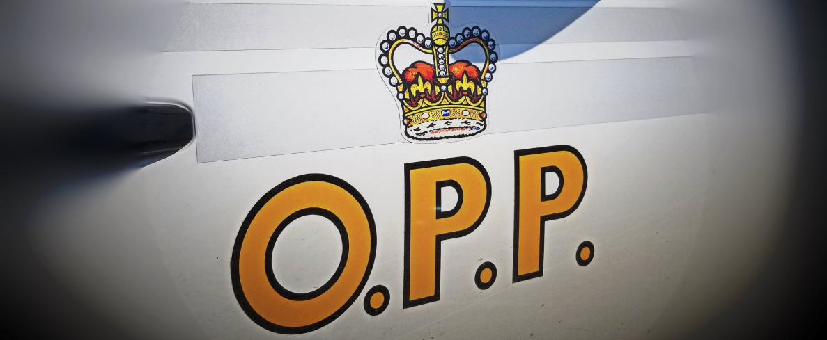 One person charged following sexual assault investigation