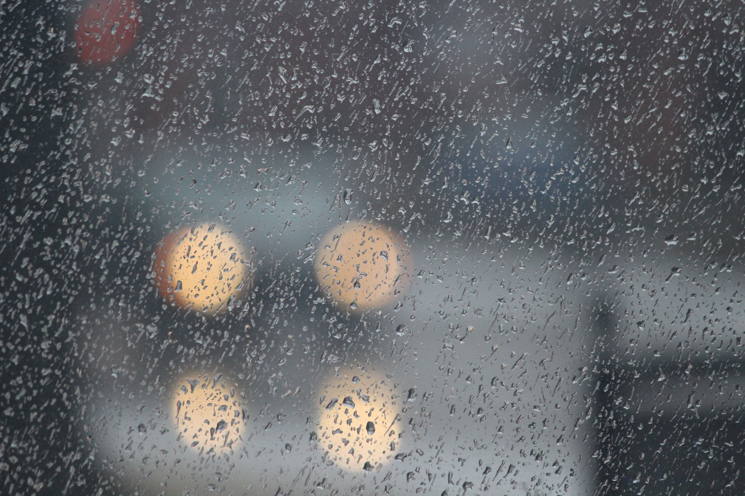 heavy rain strong wind expected on thursday scaled
