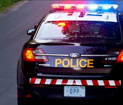 perth opp investigate targeted hit and run