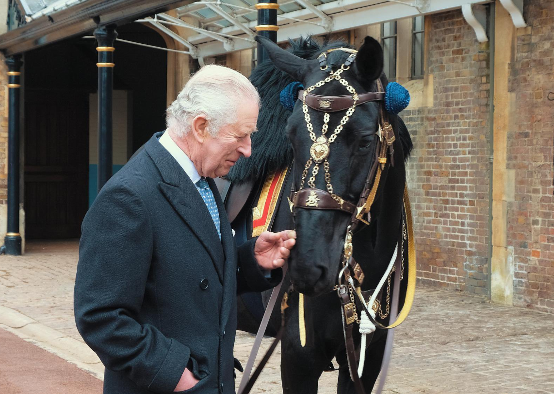 RCMP Musical Ride horse gifted to King Charles III