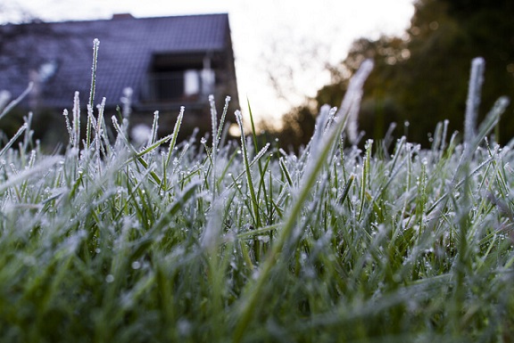 widespread frost possible