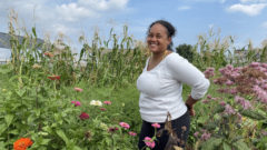 Composting, water access and backyard chickens: Detroit’s urban farming evolution